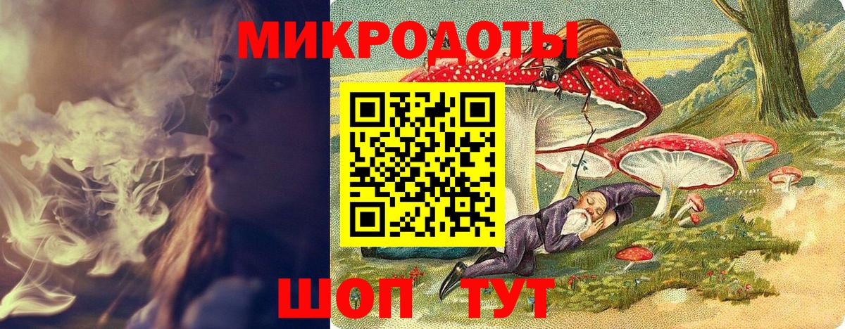 Галлюциногенные грибы Psilocybe Муром