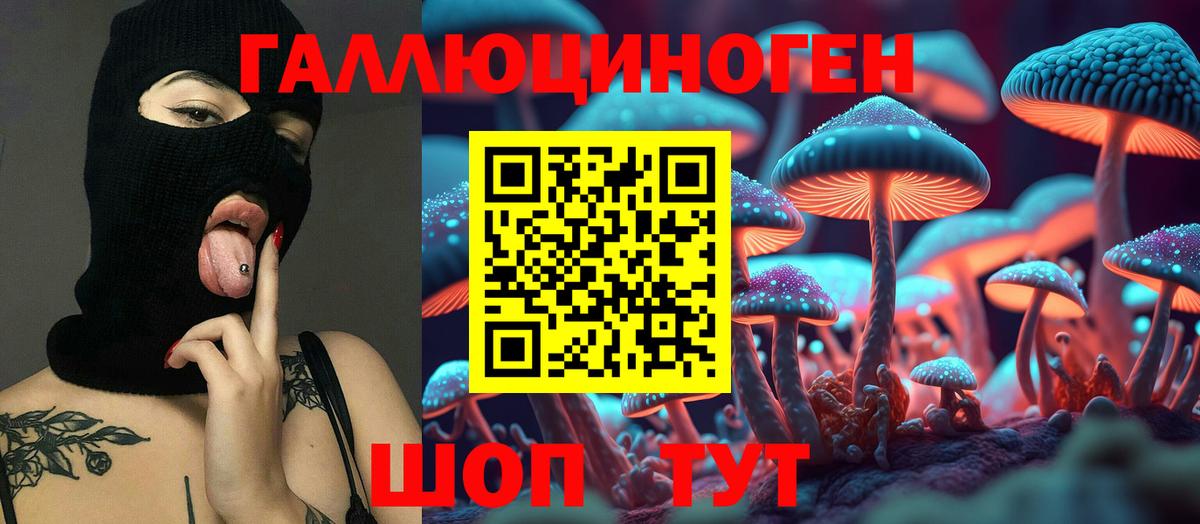 Галлюциногенные грибы Psilocybine cubensis  Галлюциногенные грибы мухоморы  Муром  Вход с VPN 